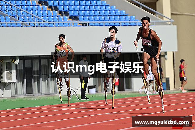 认识mg电子娱乐